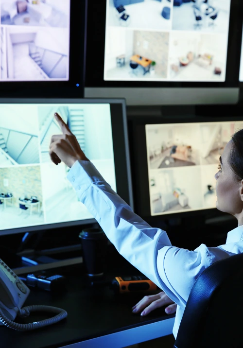 Image hover effect image