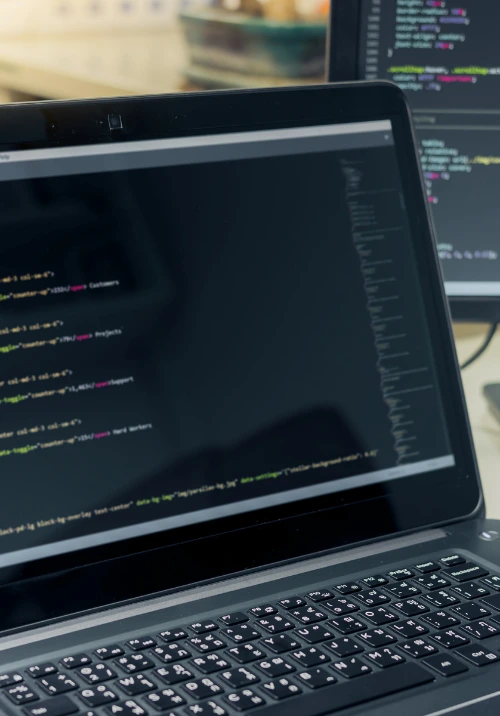 Image hover effect image